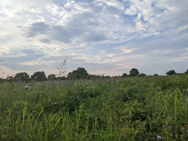 Moss Park Prairie Trailhead