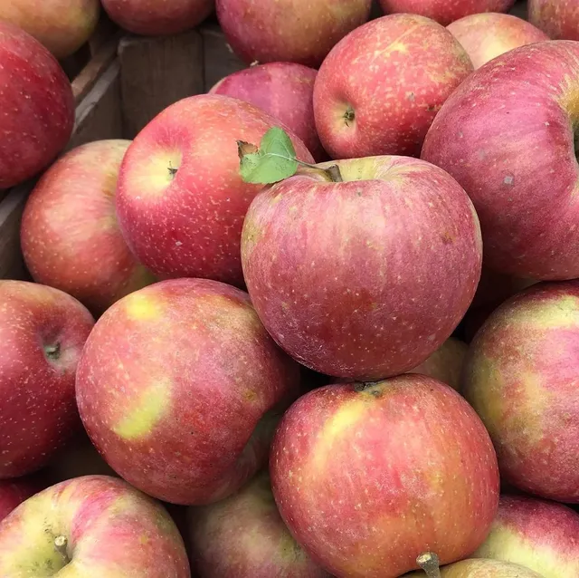 Potomac Village Farmers Market