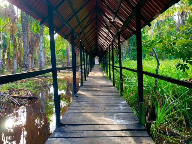 AMAZON LODGE VARILLAL