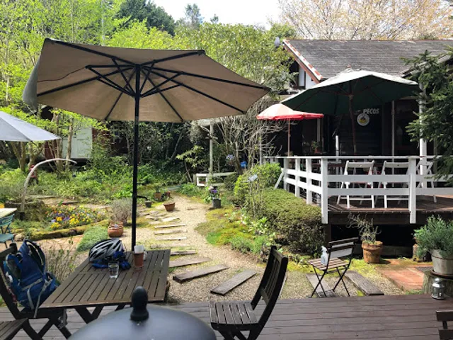 Cafe The tree of prune