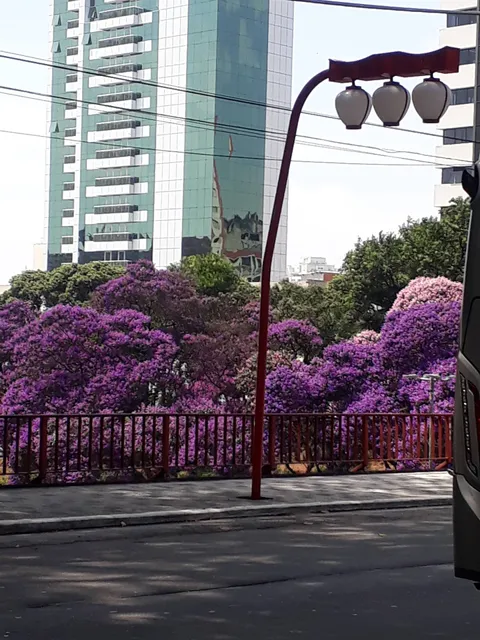 SY Cabeleireiro Unissex