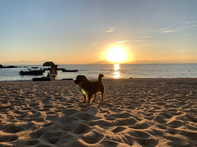 Hongluo Wan Fisherman Restaurant (Head Store)