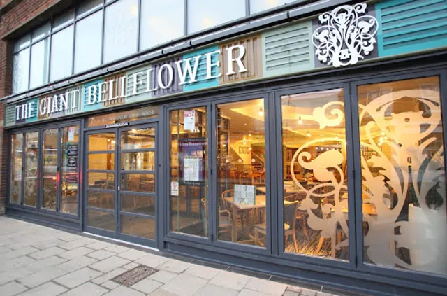 The Giant Bellflower - JD Wetherspoon