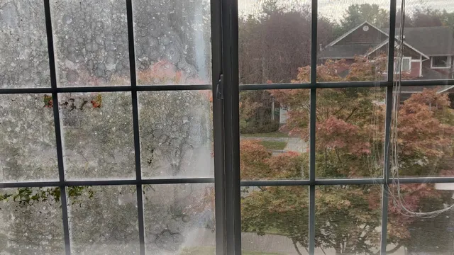 True Windows and Doors