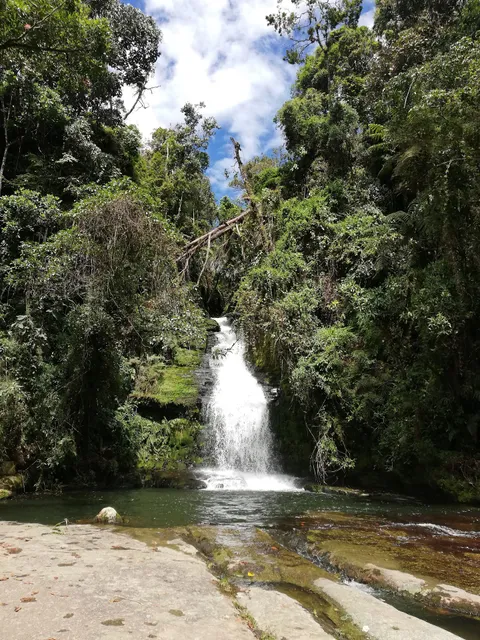 Finca La Esperanza - Familia Torres