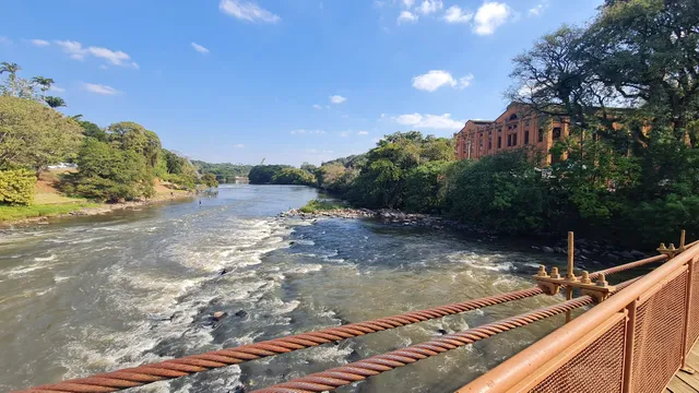 Bosque do Engenho Central