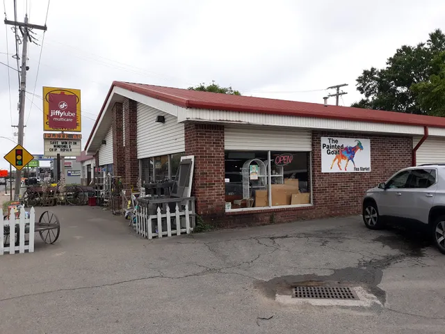 The painted goat flea market