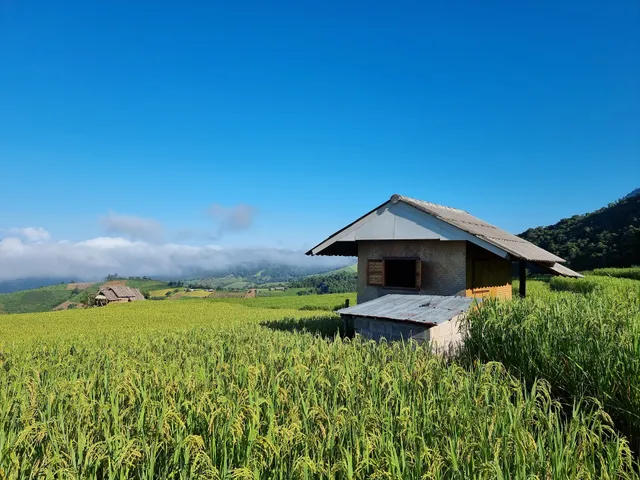 บ้านพี่สรชัย โฮมสเตย์ป่าบงเปียง