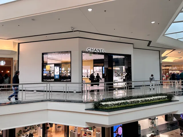 Louis Vuitton Palm Beach Gardens