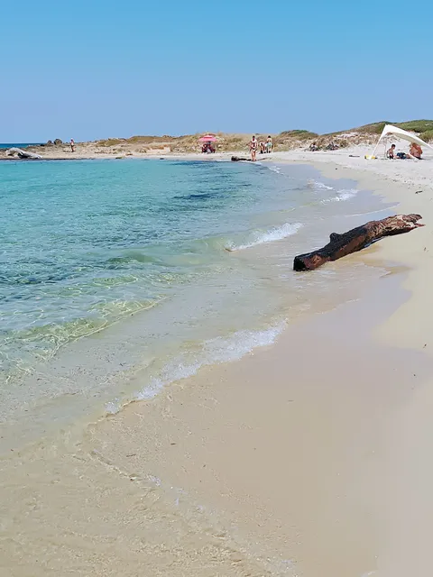 La ramasola & il datterino