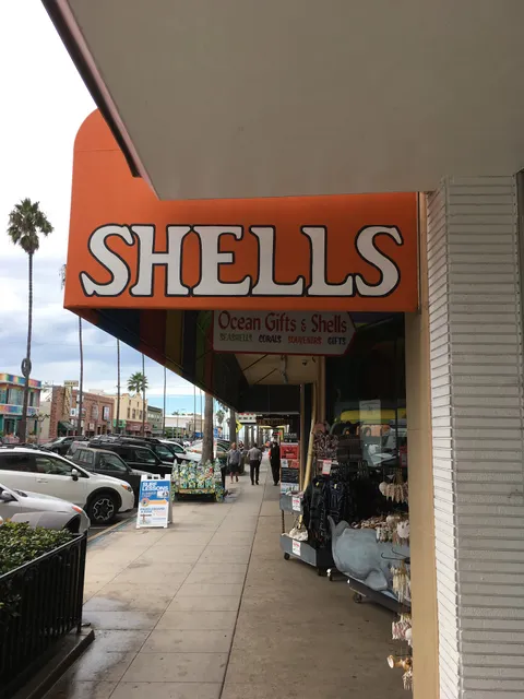 Ocean Gifts and Shells