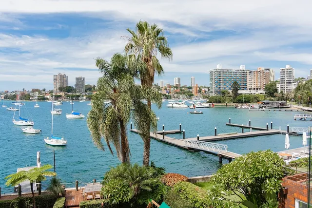 Palm View Collective