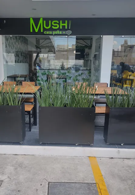 MUSHI casa poke