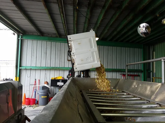 Buried Barrel Hard Cider