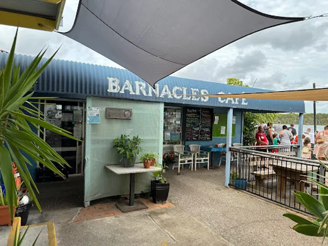 Barnacles