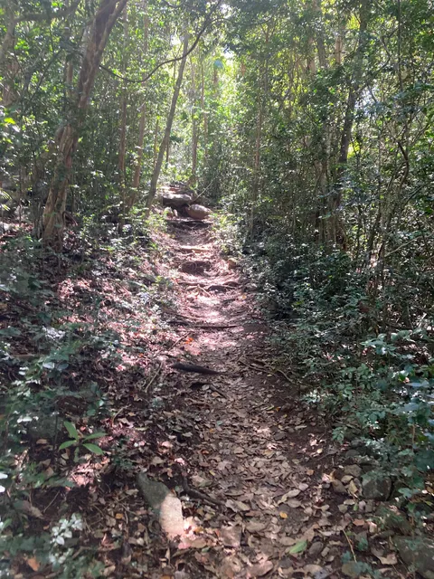 Magens Bay Beach Bluff Trail Overlook
