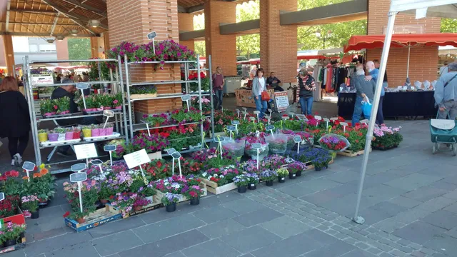 Halle lauragaise de Castanet-Tolosan