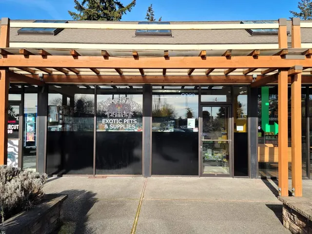 Spider Shoppe Exotic Pets & Supplies