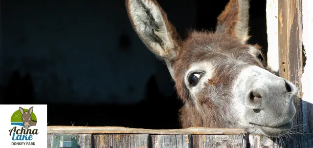 Πάρκο Φράγματος Άχνας (Open for events, excursions and parties)