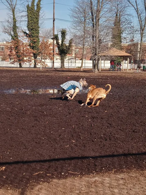 Town of Oyster Bay Dog Park