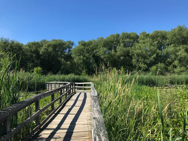 Birdsong Park Nature Trail