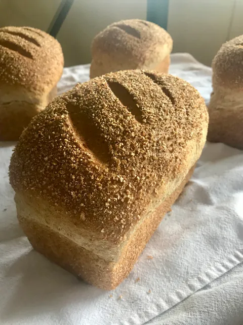 Bread Brothers Bakery