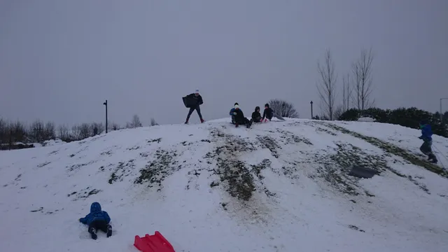 IDA Business and Technology Park Tullamore