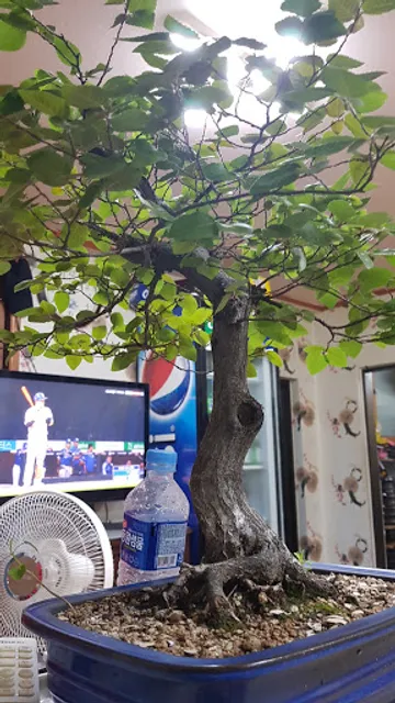 신현장어곰장어구이