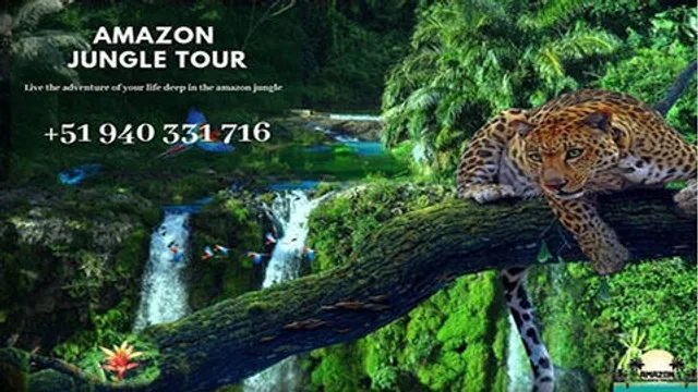 Amazon Ayahuasca Tour Peru