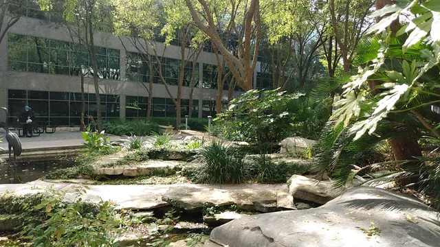 Texan Surgery Center