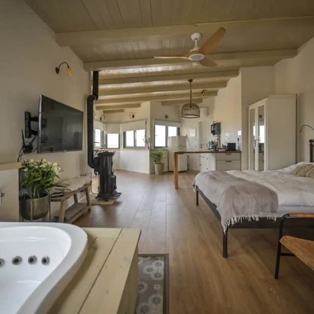 חלון לרקפות