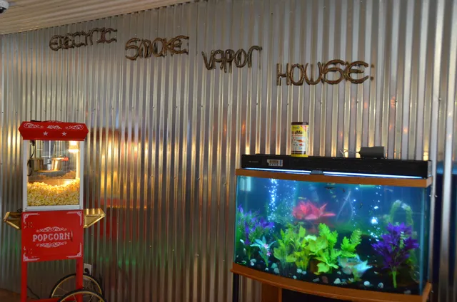 Electric Smoke Vapor House