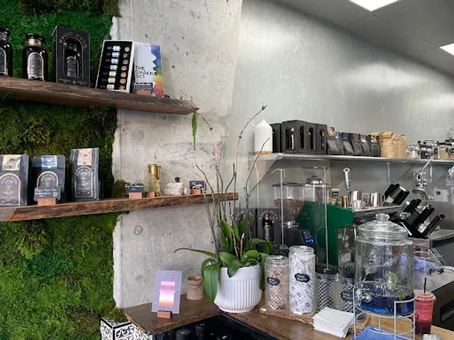 The Art of Juice and Water