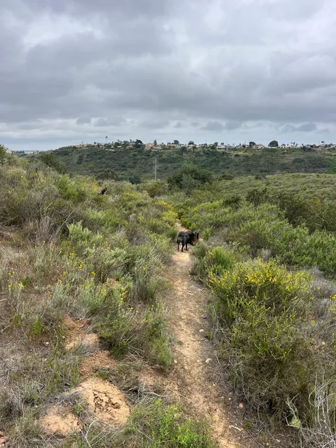 Tecolote Canyon Trailhead