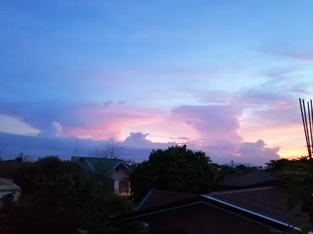 MK's Mini Donut Galore