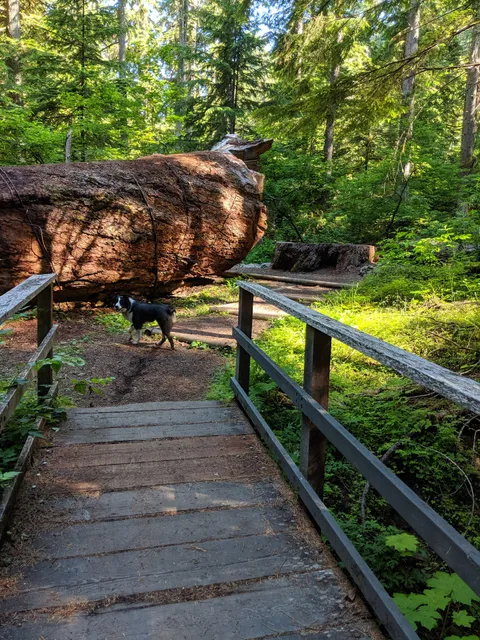 The Dalles Campground