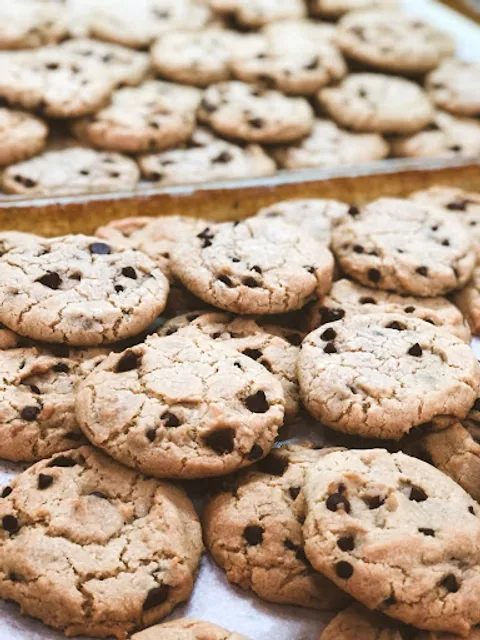 Mimosa Vegan Bakery - Blvd. Gómez Farías