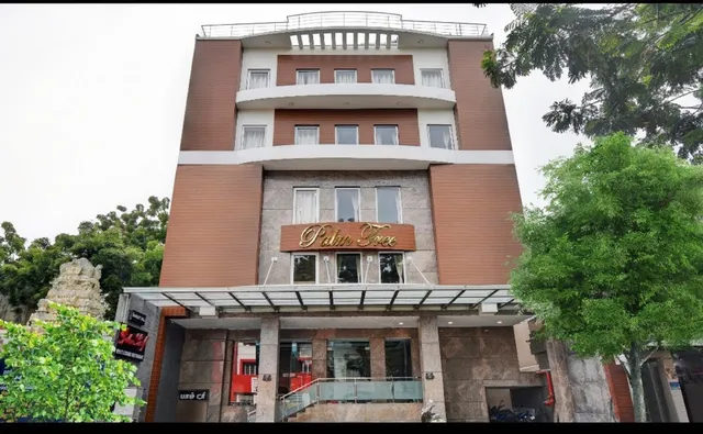 Treebo Trend Palm Tree