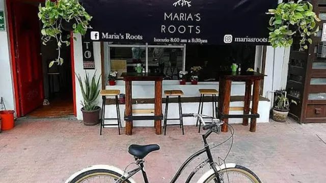 Maria's Roots
