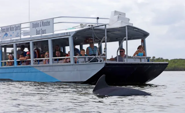 Ponce Inlet Watersports - Manatee & Dolphin Boat Tours
