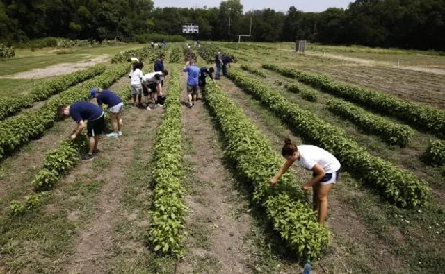 Paul Quinn Farmers Market