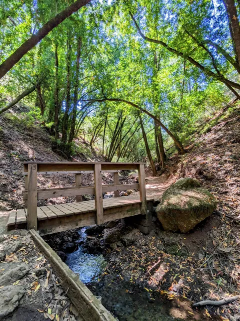 Wildcat Loop Trailhead