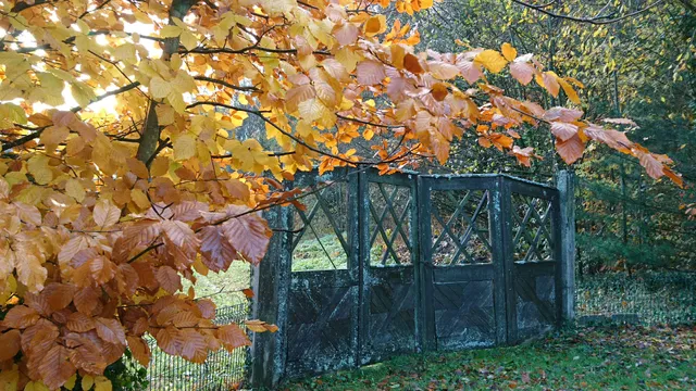 Gîte de l'Ancienne Scierie