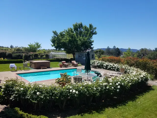 Lytton Station Vineyard Vista