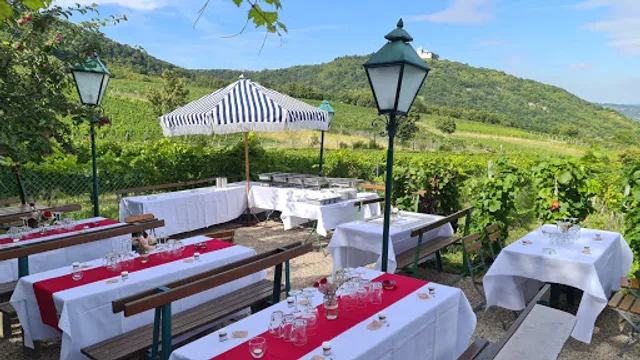 Heuriger Sirbu am Nussberg in Wien