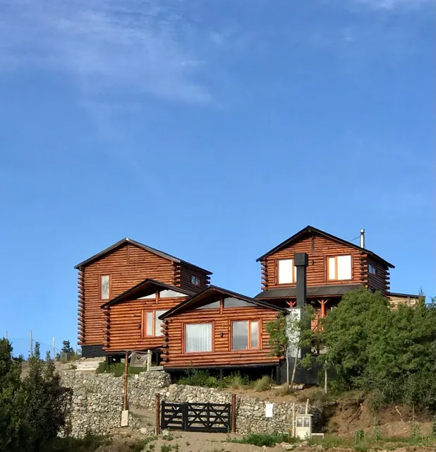 Black sheep Patagonia