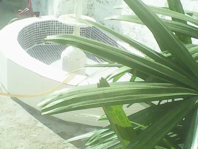 Hotel Sahara Excellency