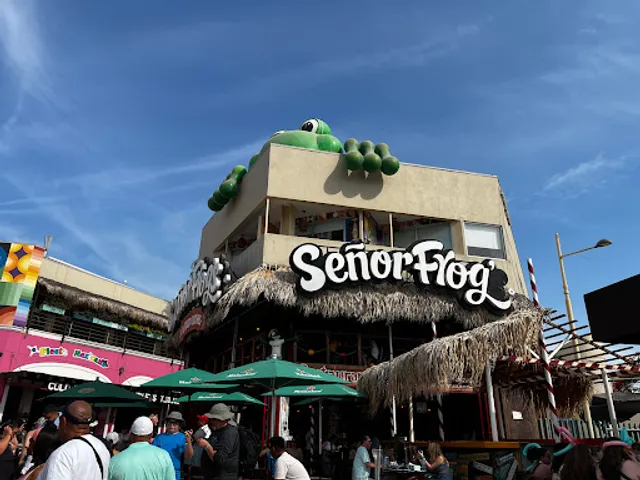 Señor Frog's Los Cabos | Party Zone