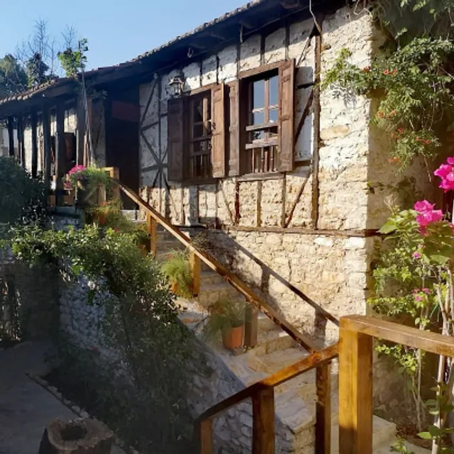 Demeter Rose Stonehouse Pansion