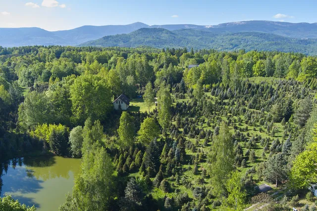 Dom do Wynajęcia Karkonosze "Srebrny Las"